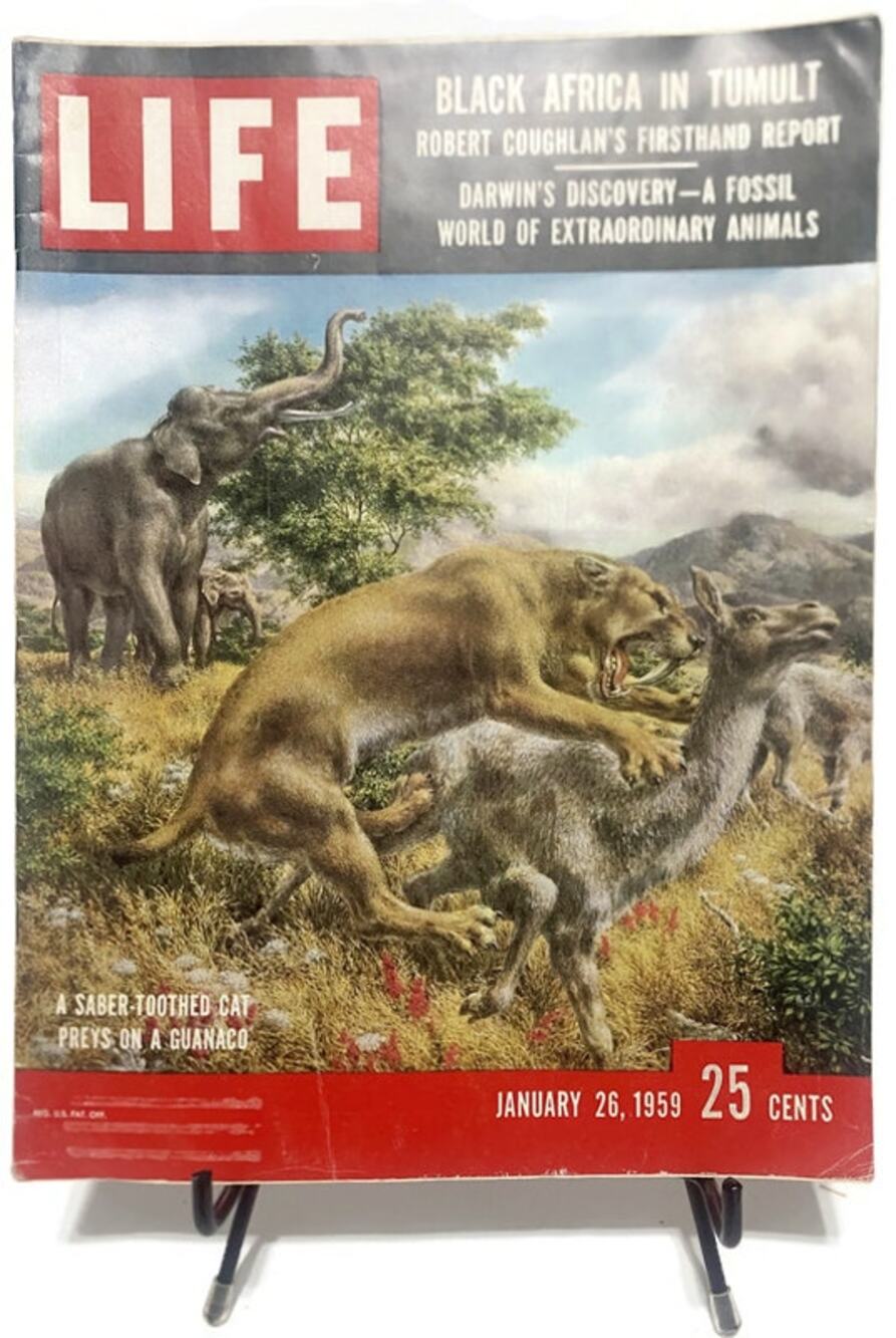 LIFE Magazine January 26 1959 Saber-Toothed Cat Darwin Fossils Black Africa